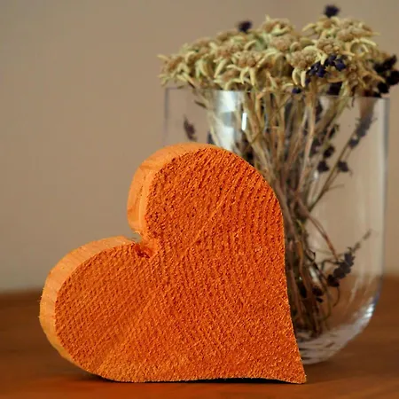 民宿 Abendrot Yoga Retreat 贝旺